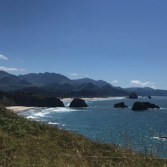 Meet your Posher, Riley - Picture 1 of 1